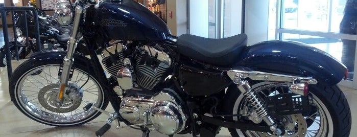 Battle Born Harley-Davidson® is one of สถานที่ที่ John ถูกใจ.
