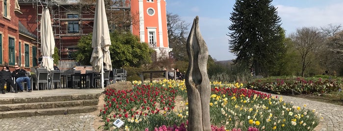 Café Elise is one of Wuppertal.