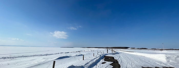 ワッカ原生花園 is one of 好きです！網走 北見 オホーツク.