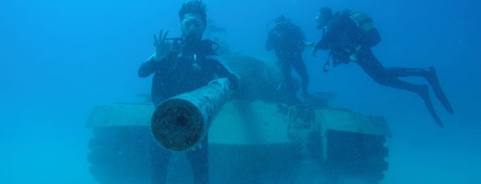 Nautilus Dive Center - Nautilus Dalış Merkezi is one of Sports.