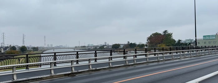小岩大橋 is one of 東京橋 ～下町編～.