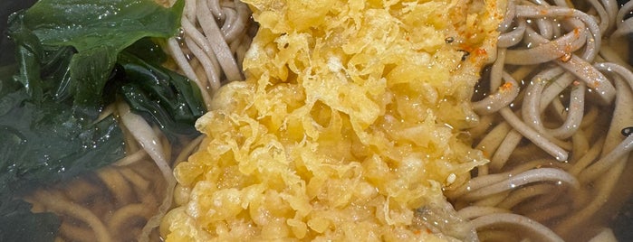 長岡やなぎ庵 is one of ﾌｧｯｸ食べログ麺類全般ﾌｧｯｸ.