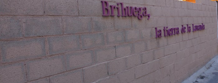 Brihuega is one of สถานที่ที่ Alberto ถูกใจ.