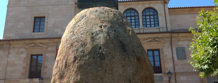 Plaza De Viriato is one of ya checkeados.