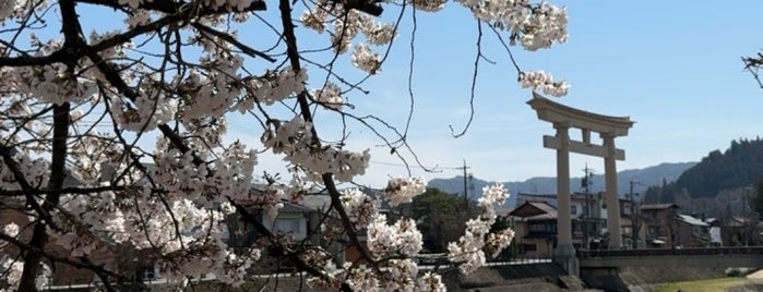 櫻山八幡宮 is one of 御朱印巡り 神社☆.