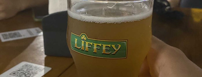 The Liffey Brew Pub is one of Saga Jona.