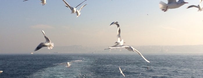 Üsküdar - Eminönü Motoru is one of Ahmad🌵'ın Beğendiği Mekanlar.