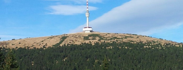 Českomoravské hory