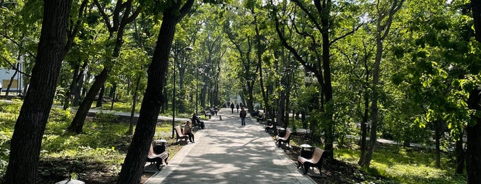 Покровский парк is one of крутые места.