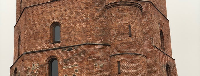 Gedimino Pilies Bokštas | Gediminas’ Tower of the Upper Castle is one of Tempat yang Disukai Olya.