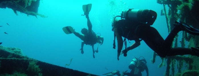 "Zenobia" Ship Wreck is one of CY.