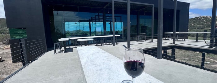 Hilo Negro is one of Valle de Guadalupe.