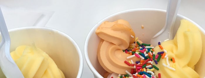 Yogurtology is one of Ice Cream.