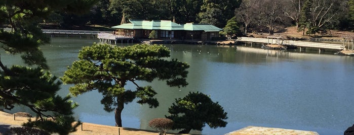 Hamarikyu Gardens is one of Tokyo 2019.
