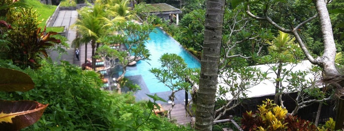 Jungle Fish Pool & lounge is one of UBUD.