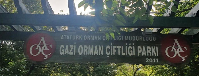Gazi Orman Çiftliği Parkı is one of gidilesi yerler.