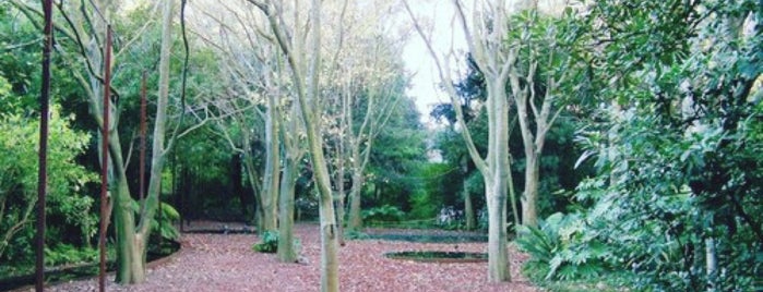 Jardim da Fundação Calouste Gulbenkian is one of Lisabon.