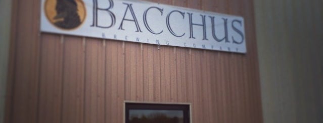 Bacchus Brewing Company is one of Finger Lakes Breweries.