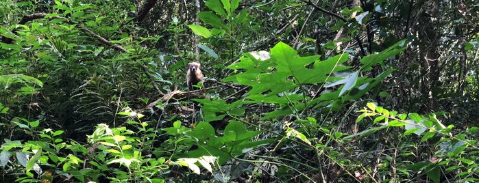 Parque Nacional Soberanía is one of Tempat yang Disukai Dark.