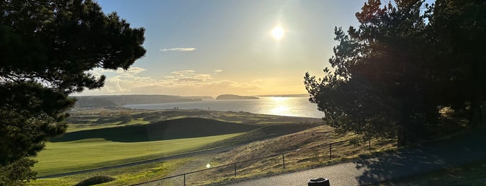 Chambers Bay Park Playground is one of UP.
