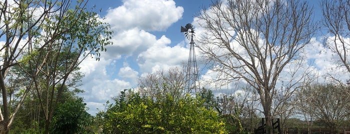 Zona Arqueológica de Kinichná is one of Chetumal.