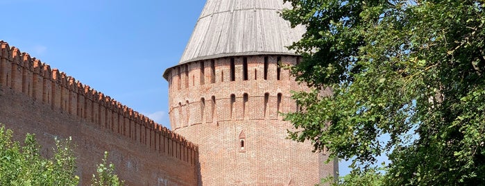 La torre Veseluja is one of смоленск.