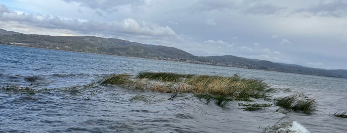 Sapanca Kurtköy Piknik Alanı is one of Sapanca.