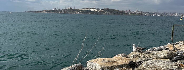Üsküdar Su Ürünleri Kooperatifi is one of RESTAURANT-Deniz Mahsülü.