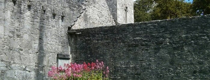 Muckross Abbey is one of irland must.