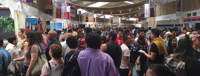 Feria De Las Culturas Amigas 2016 is one of Tempat yang Disukai Giovo.