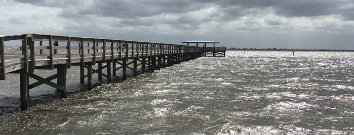 Safety Harbor Florida Pier is one of Orte, die Rose gefallen.