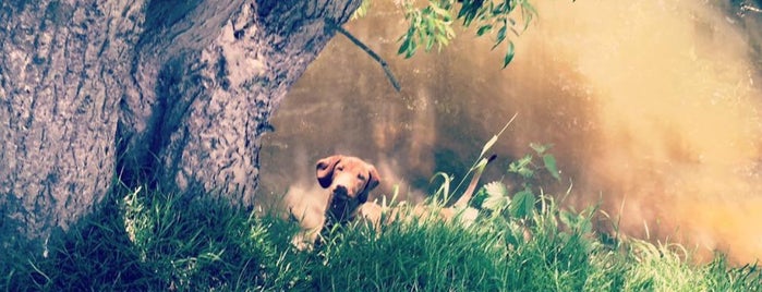 The Bollin is one of Tristan’s Liked Places.