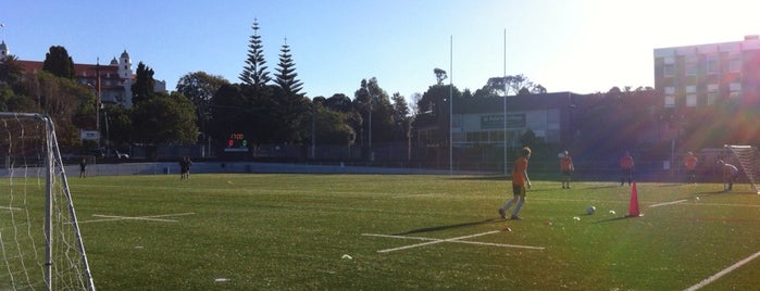 St Peters College Soccer Pitch is one of Lugares favoritos de Tristan.
