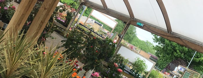 Dobbies Garden Centre Altrincham is one of Tristanさんのお気に入りスポット.
