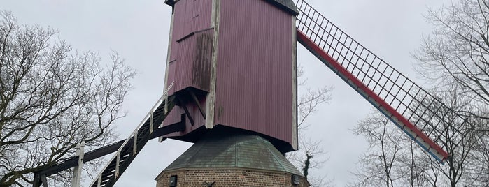 De Nieuwe Papegaai is one of Brugge.