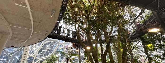 Amazon - The Spheres is one of Seattle.