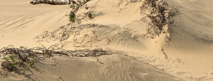 Estuary Beach is one of Zuid-Afrika 2014.