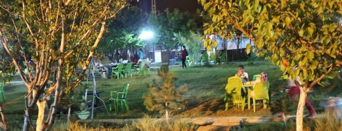 Yeşil Köşk Çay Bahçesi is one of ✖ Türkiye - Ağrı.