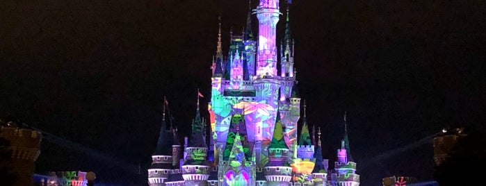 Tokyo Disneyland is one of 何度も見返したいお気に入りTIPS.