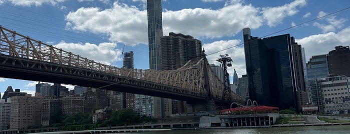 Roosevelt Island is one of Friends in town!.