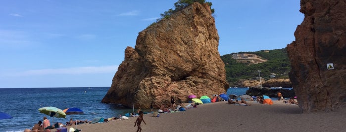 Platja de l'Illa Roja is one of Tempat yang Disukai belen.