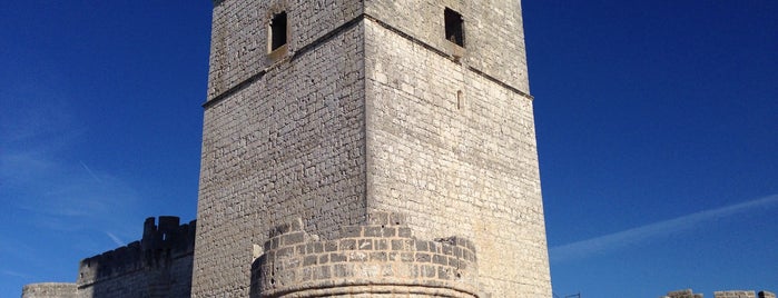 Castillo De Portillo is one of Locais curtidos por Zheta.