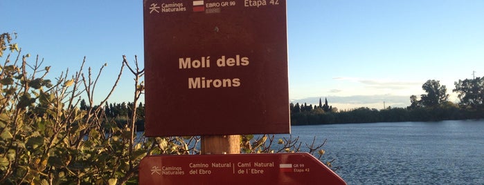 Molí dels Mirons is one of Llocs imprescindibles del Delta de l'Ebre.