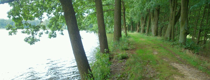 Velký lomnický is one of สถานที่ที่ Jan ถูกใจ.