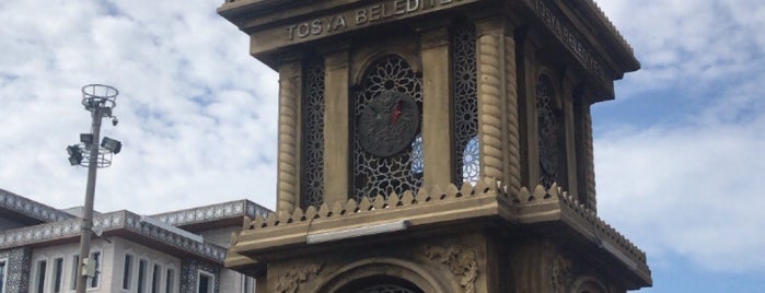 Tosya is one of TÜRKİYE Kentler.