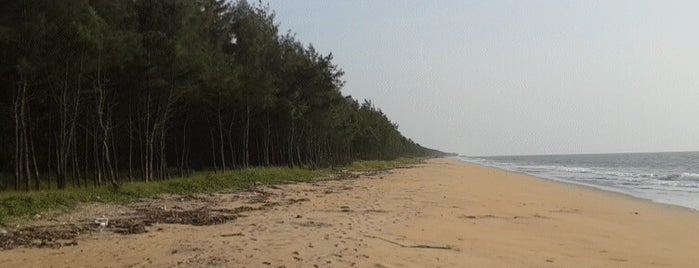 Kuzhupilli Beach is one of Beach locations in India.