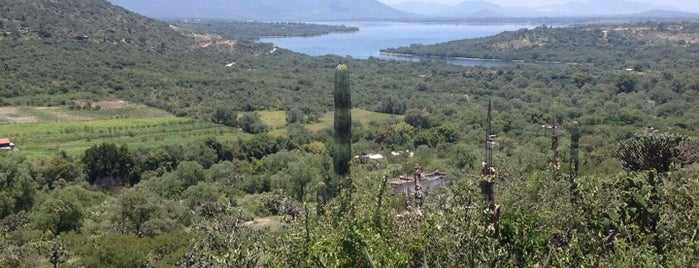 La Palapa is one of Carla'nın Beğendiği Mekanlar.