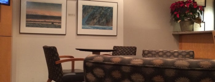 American Airlines Admirals Club is one of Oneworld Lounges.