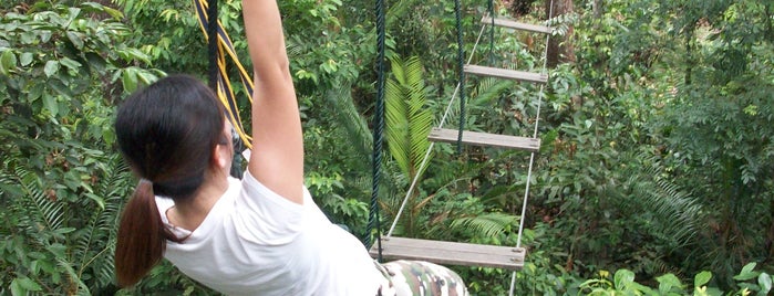 Skytrex Adventure Park is one of ADVENTURE TO-DO.