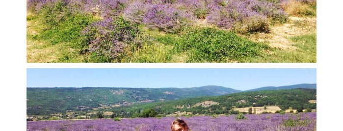 Sault is one of Provence.